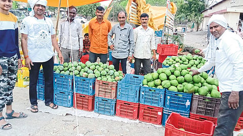 farmers at market yard