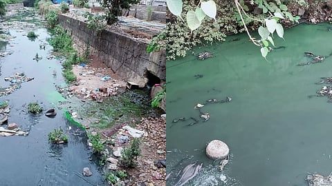 Mumbai MIDC Nala dirt chemical mixed water garbage harm to citizen