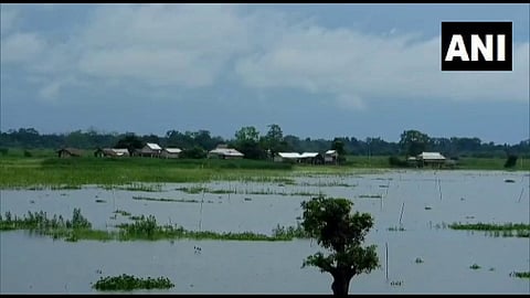 Kaziranga National Park News
