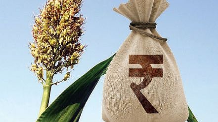  maharashtra agriculture department 