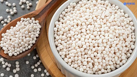 Sabudana