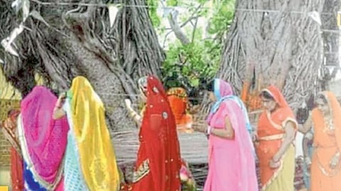 vat savitri pooja