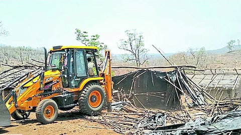 Encroachment removal campaign in wildlife area