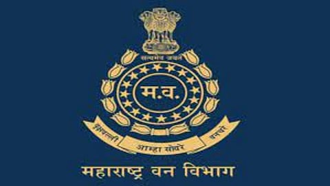 Maharashtra forest department