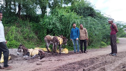 PARBHANI