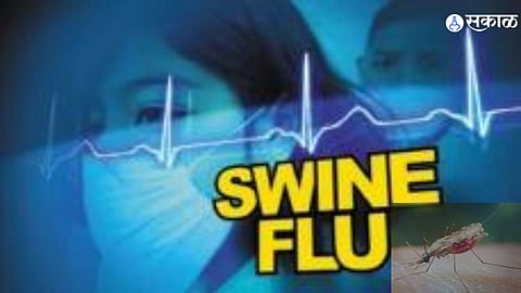 health news Thane alert swine flu dengue malaria two death municipality action 