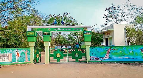solapur