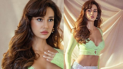 Disha patani bollywood actress news 