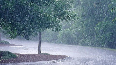 Hingoli Kurunda Heavy rain