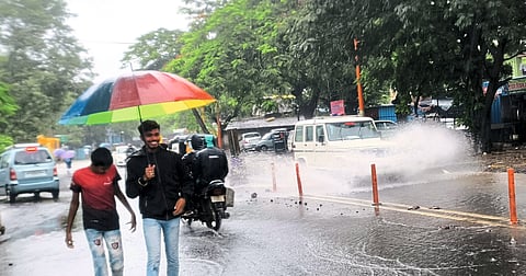 Nashik Monsoon Update News