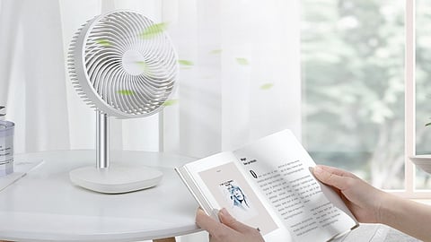 fan