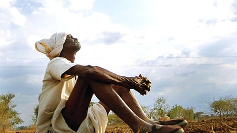 Nanded farmer sowing pending 