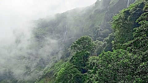 Amboli 