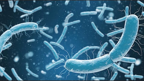 microorganisms