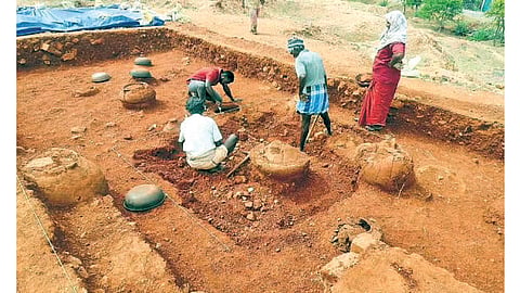 Dravidi Culture