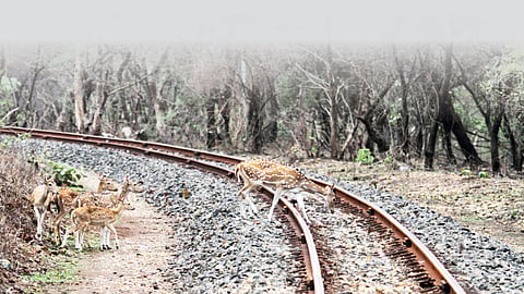 railway broad gauge