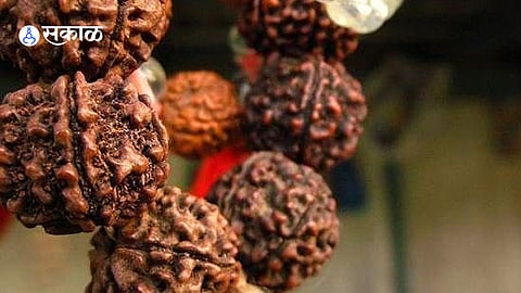 Rudraksh