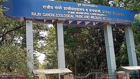 Record income of Katraj Zoo 2 crore income in three months 