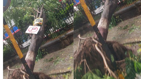 Mumbai Rain Update