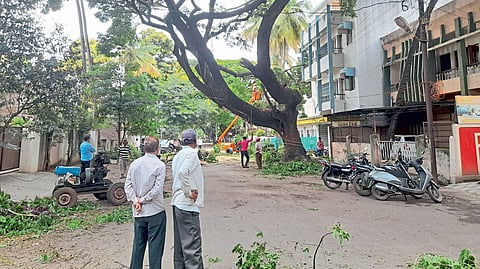 sangli