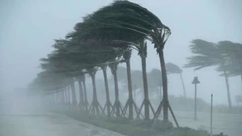 Heavy rain reference marathi rain update news