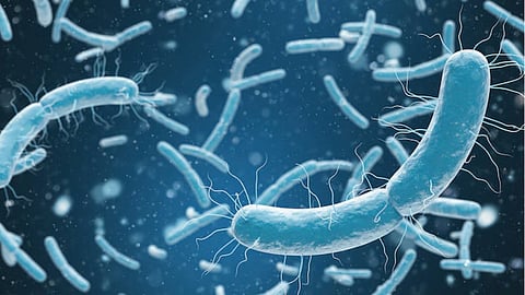 Microbial infection