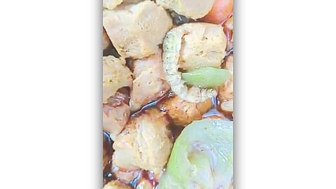 Floating larvae in a nutritious diet.