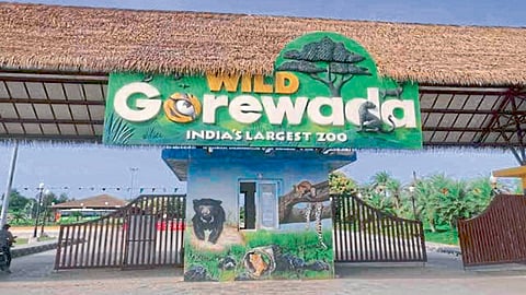 balasaheb thackeray gorewada zoo