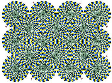 Visual Optical Illusion Test