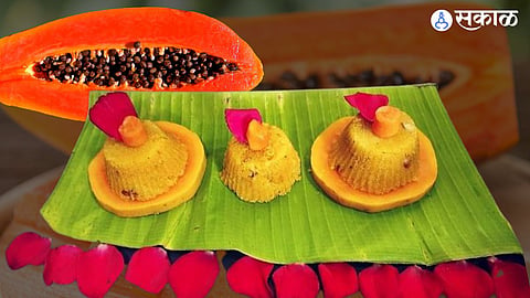 Papaya Halwa Recipe: तुम्ही कधी पपईचा शिरा खाल्ला आहे का? 