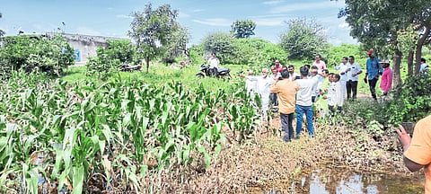 Minister Dada Bhuse inspecting the damaged crops