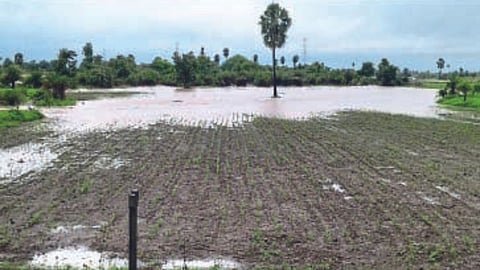 58 crore 32 lakh loss to farmers