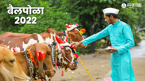 Bail Pola 2022