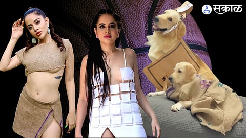 International Dog Day News 