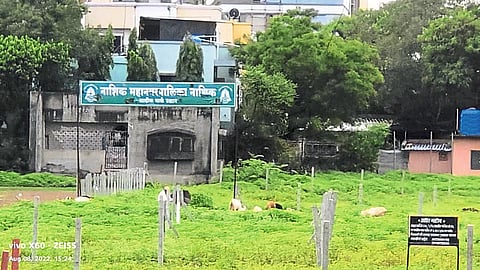 Board of Parks Department of Municipal Corporation