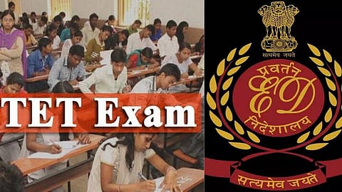 TET Exam 