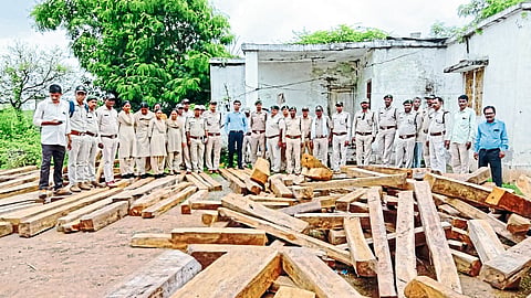 Senthwa Forestry officials with seized sagwan tree