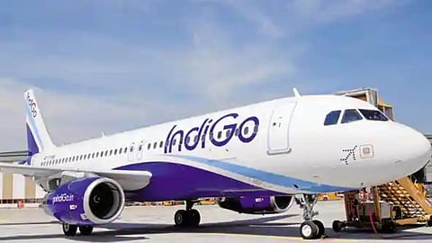 Indigo Flight