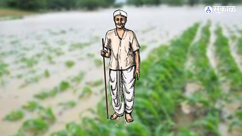 Nagpur Farmers crop damage compensation