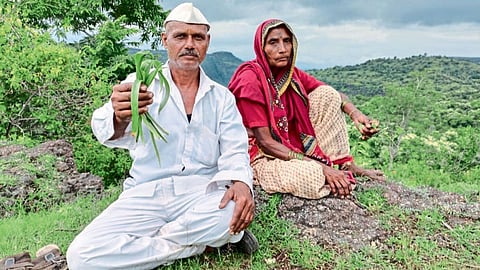  आदिवासी