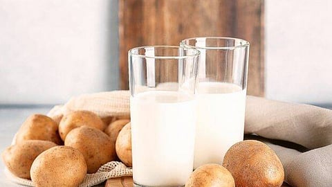  potato milk 
