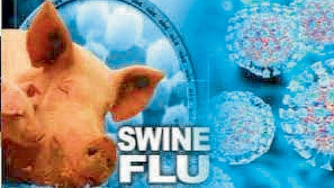 health news 20 swine flu patients on ventilator nagpur