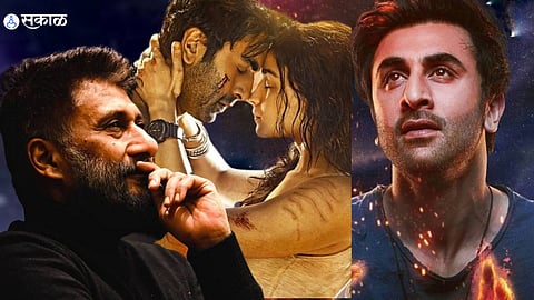 bollywood is fake and done loss of 800 crore claimed vivek agnihotri 