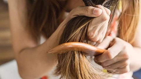 Hair Care Tips : केस गळती थांबवण्यासाठी 'या' घरगुती ट्रिक्स वापरा, नक्की फरक जाणवेल