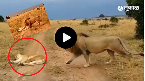Viral Video