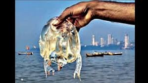 Jellyfish Uran