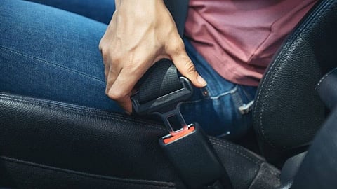 seat belt 