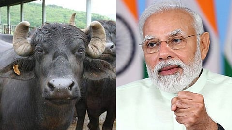 PM Narendra Modi