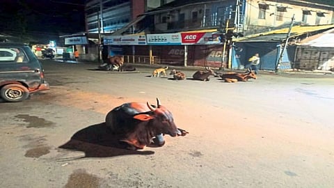 kokan news 