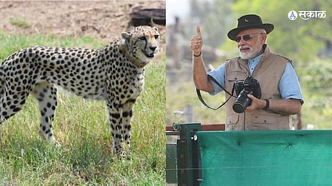 PM Narendra Modi